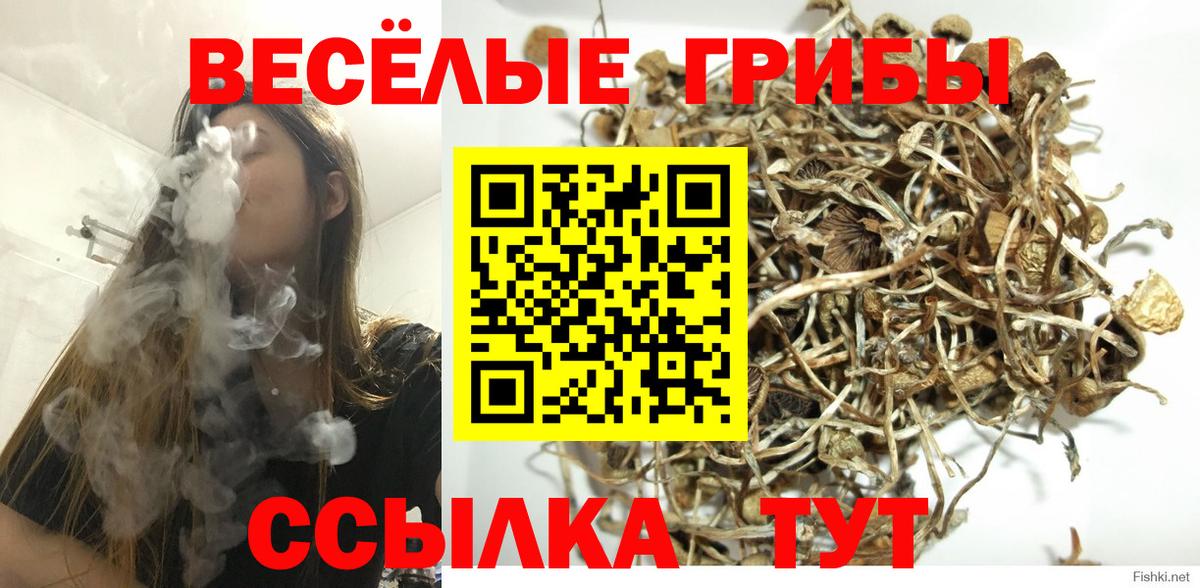Галлюциногенные грибы Psilocybine cubensis  Галлюциногенные грибы Magic Shrooms  Вход с VPN  Златоуст 